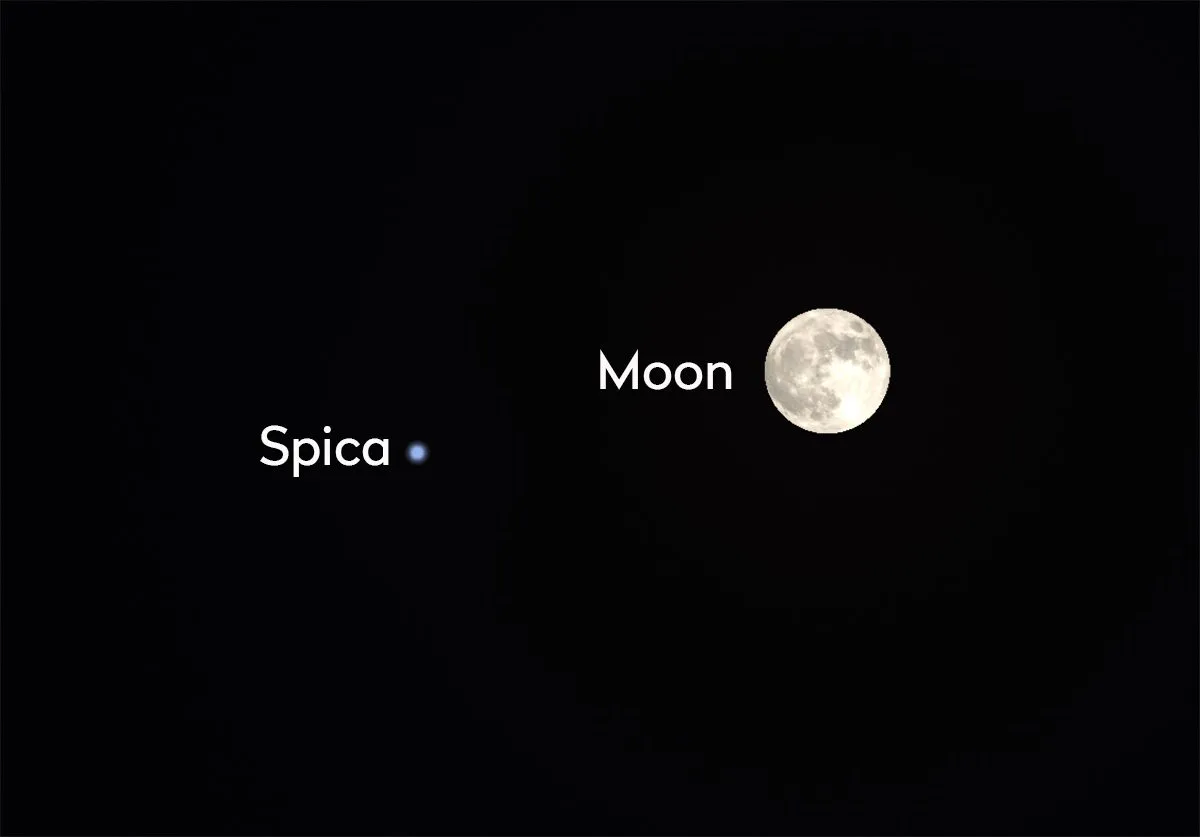 Full Moon: The Unique Flower Moon of 2026