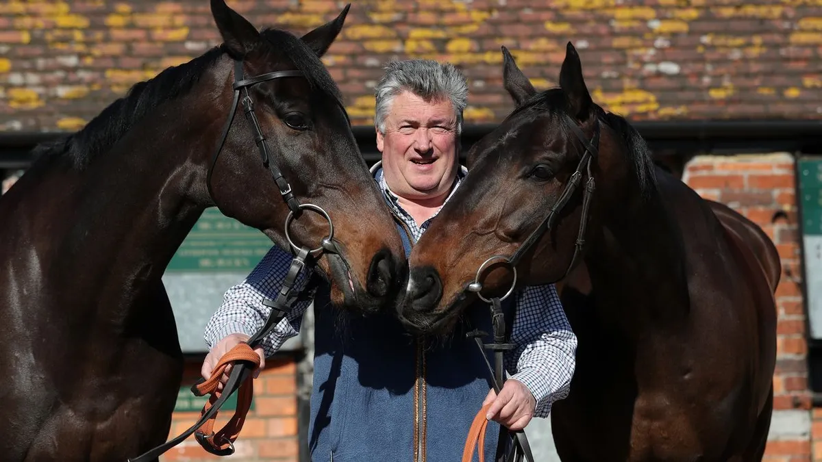 Paul nicholls stable news image 1