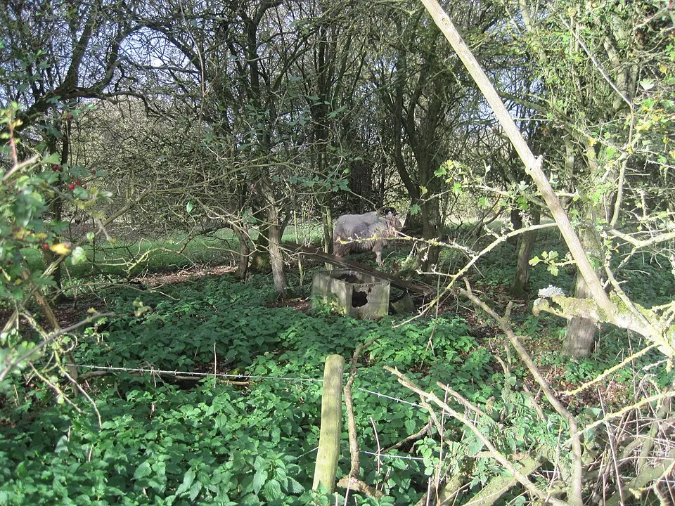 Cave’s Inn Pits Fly-Tipping Investigation Launched