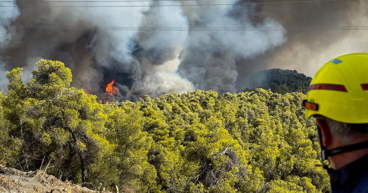 Cyprus Faces Tourism Decline Amidst Livestock Culling Crisis image 1