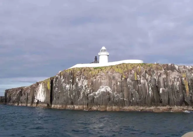 Farne Islands: The Return of Puffin Cam