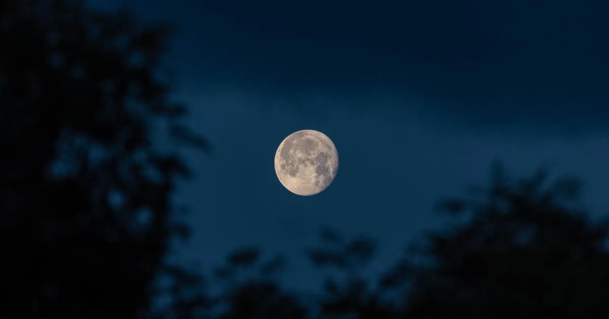 Flower moon: The : A Micromoon to Watch in 2026