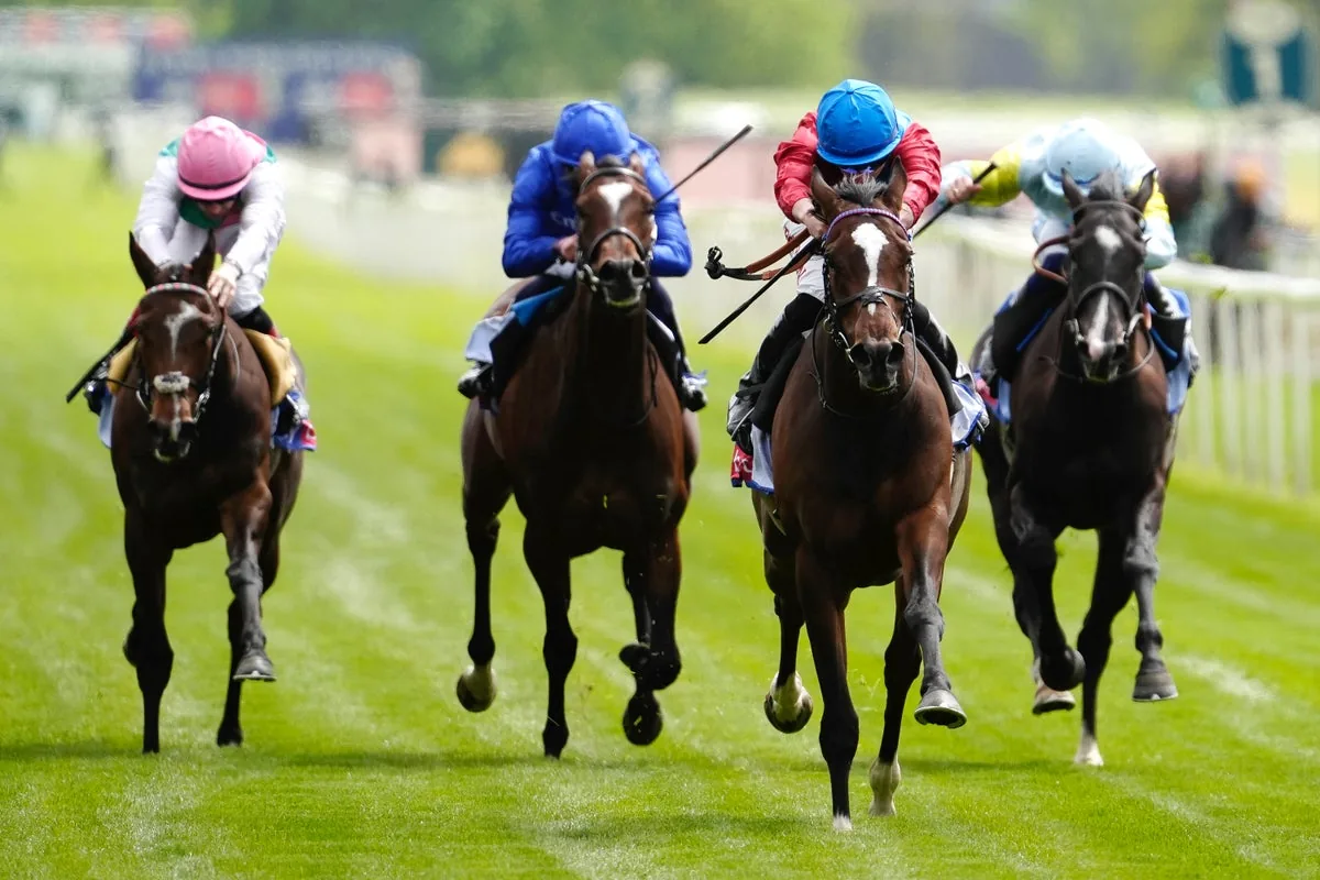 Newcastle’s Northumberland Plate features Circus Of Rome and Team Player